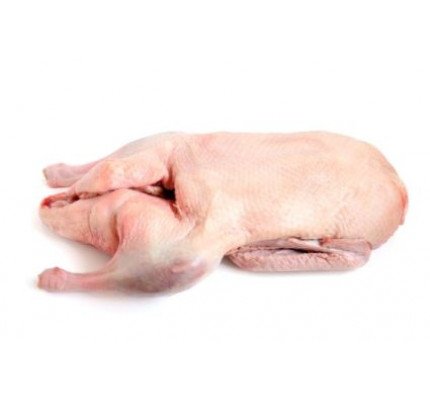 Weidemastgans gefroren